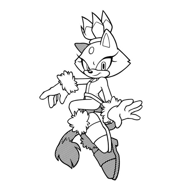 SKETCH
